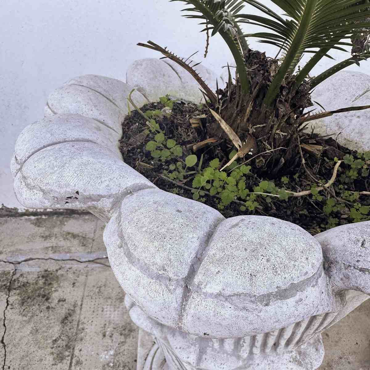 Twin Planters With Intricate Detailing, Perfect For Creating Symmetry And Beauty In The Garden. photo 365.0