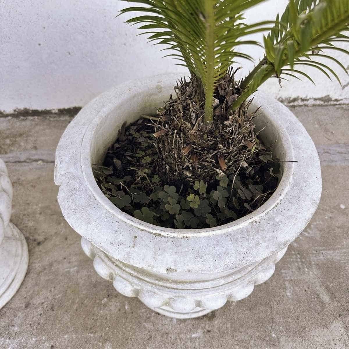 Classic Vase Set, Ideal For Adding A Touch Of Timeless Elegance To Any Environment. photo Garden Decor