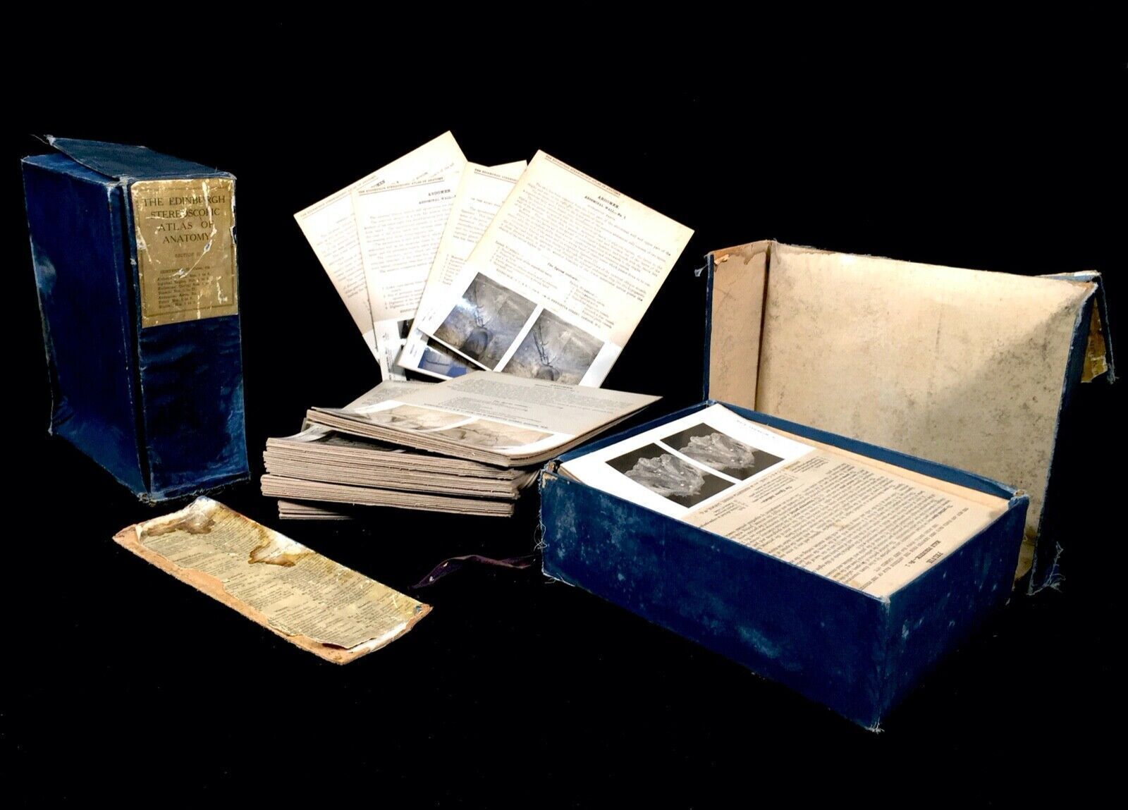 Antique Pair Of Boxed Edinburgh Stereoscopic Atlas Of Anatomy Cards Views C.1905 photo vintage