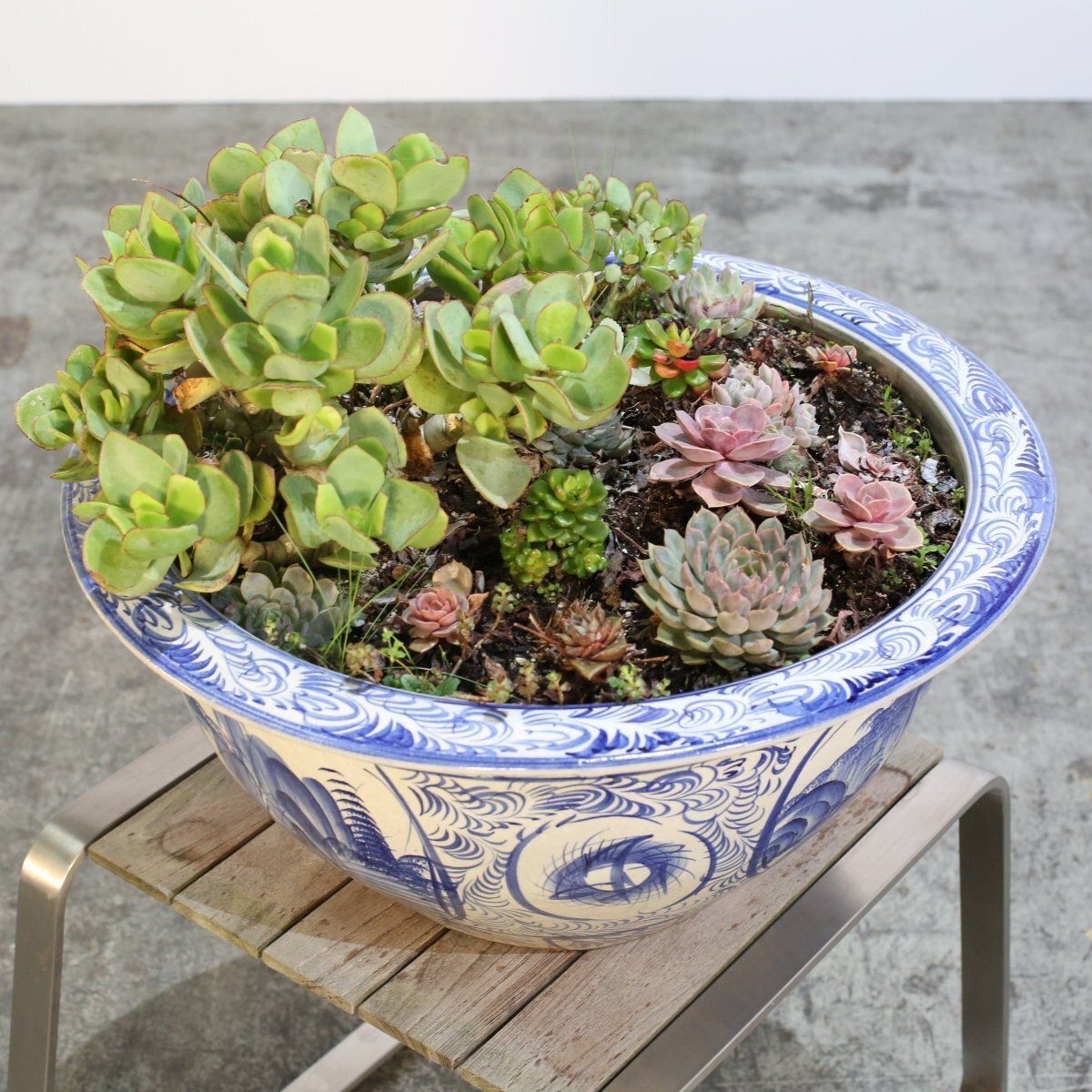 Ceramic Plant Bowls With Succulents, Set Of Two photo vintage