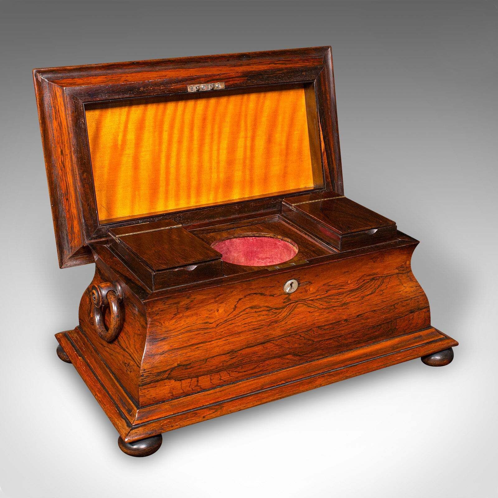 Antique Sarcophagus Loose Leaf Tea Caddy, Drawing Room, English, Regency, C.1820 photo furniture