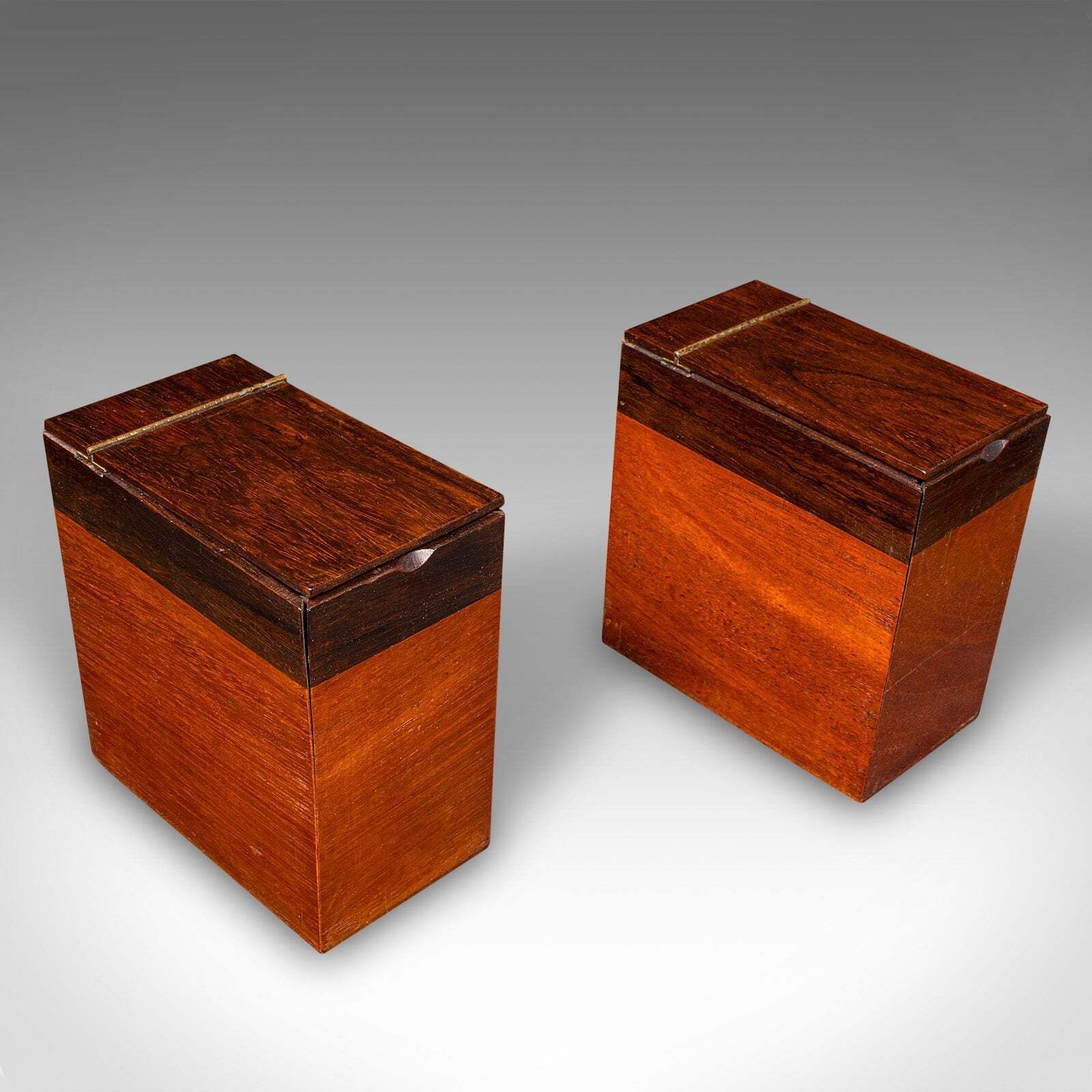 Home Decor Antique Sarcophagus Loose Leaf Tea Caddy, Drawing Room, English, Regency, C.1820 photo