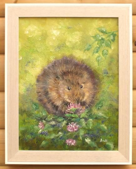 New Original Framed Painting Water Vole  Andi J Lucas  Wildlife Art