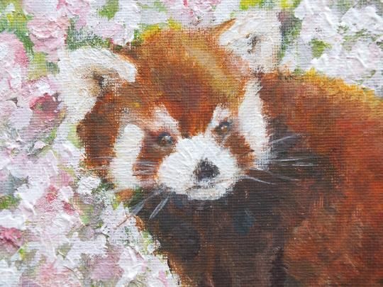 Red Pandas In Cherry Blossom Landscape Wildlife Original Painting Andi J Lucas photo Art