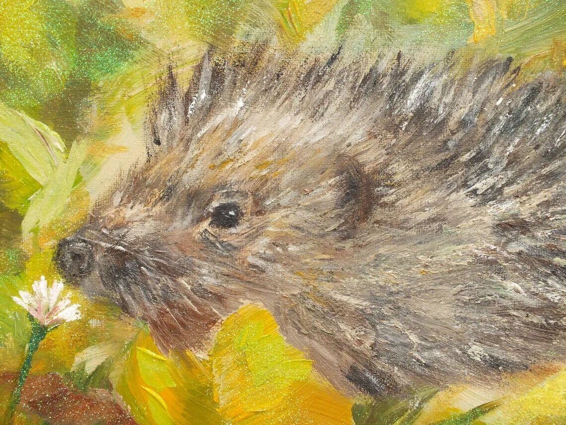 New Original Framed Signed Painting Hedgehog  Andi J Lucas  Wildlife Art photo Art
