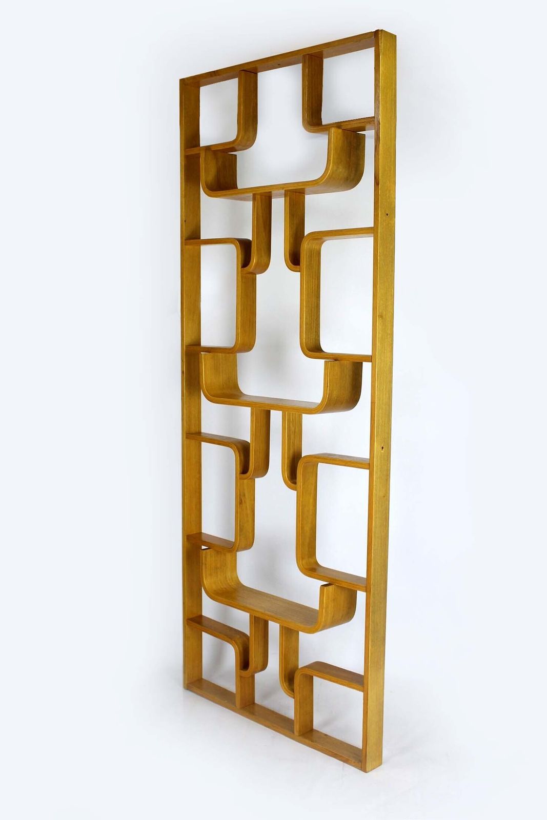 Mid Century Room Divider By Ludvik Volak For Drevopodnik Holesov, 1960s