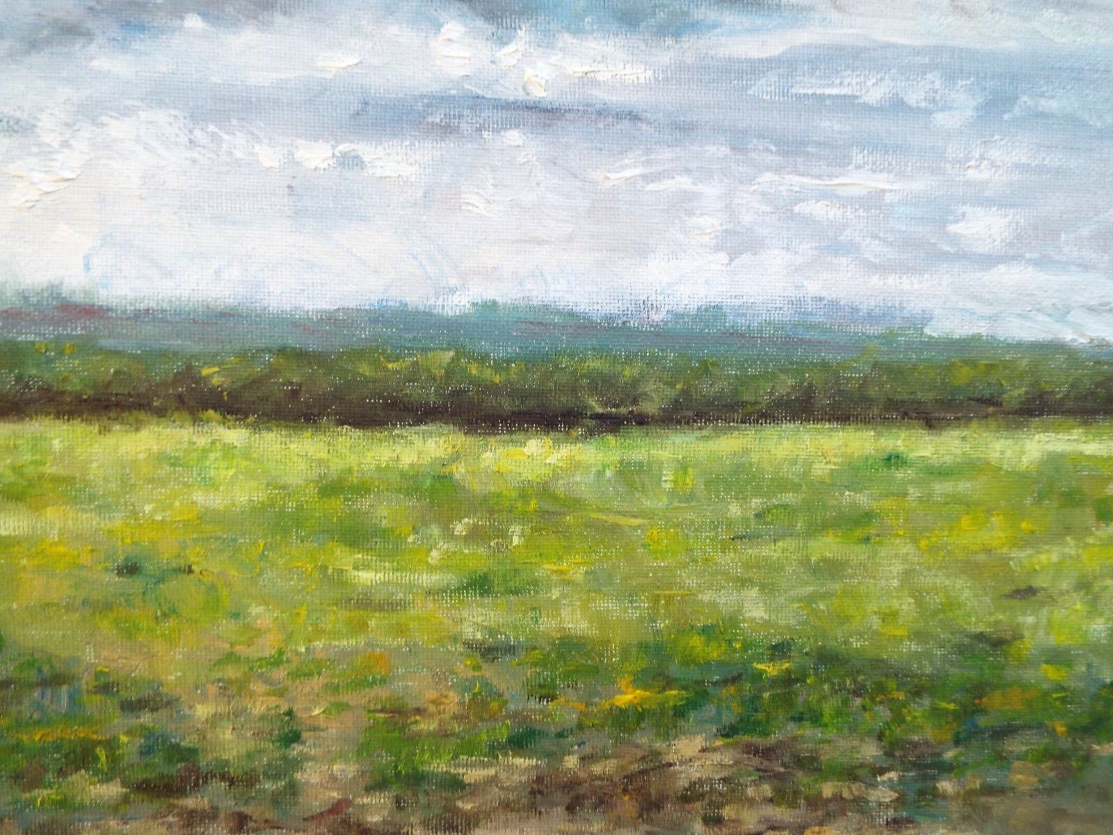 Green Summer Field Landscape Farm Original Oil Painting Signed Framed Andi Lucas photo 270.0