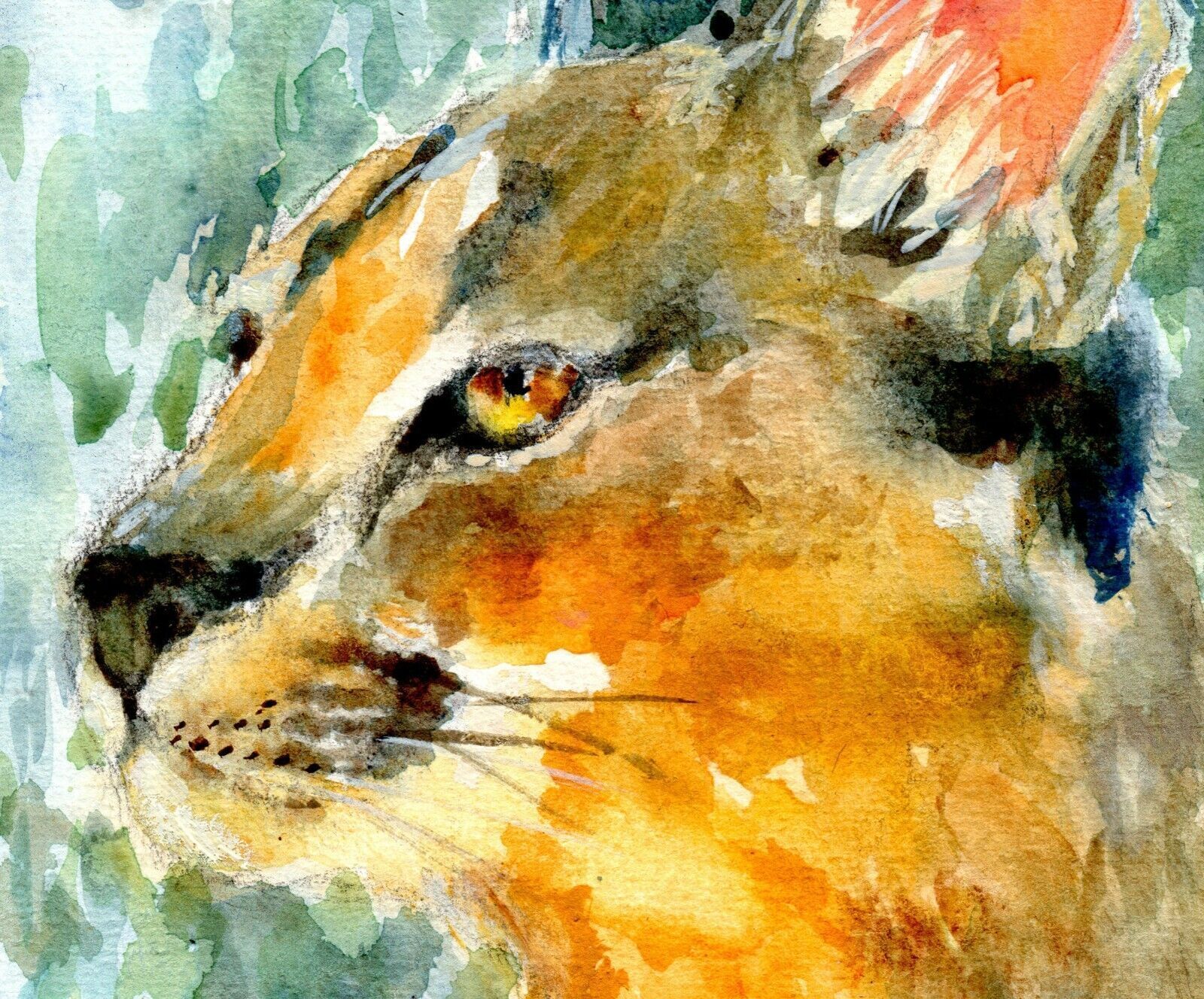 Caracal Watercolour Big Cat Painting Framed African Wildlife Original Andi photo Art