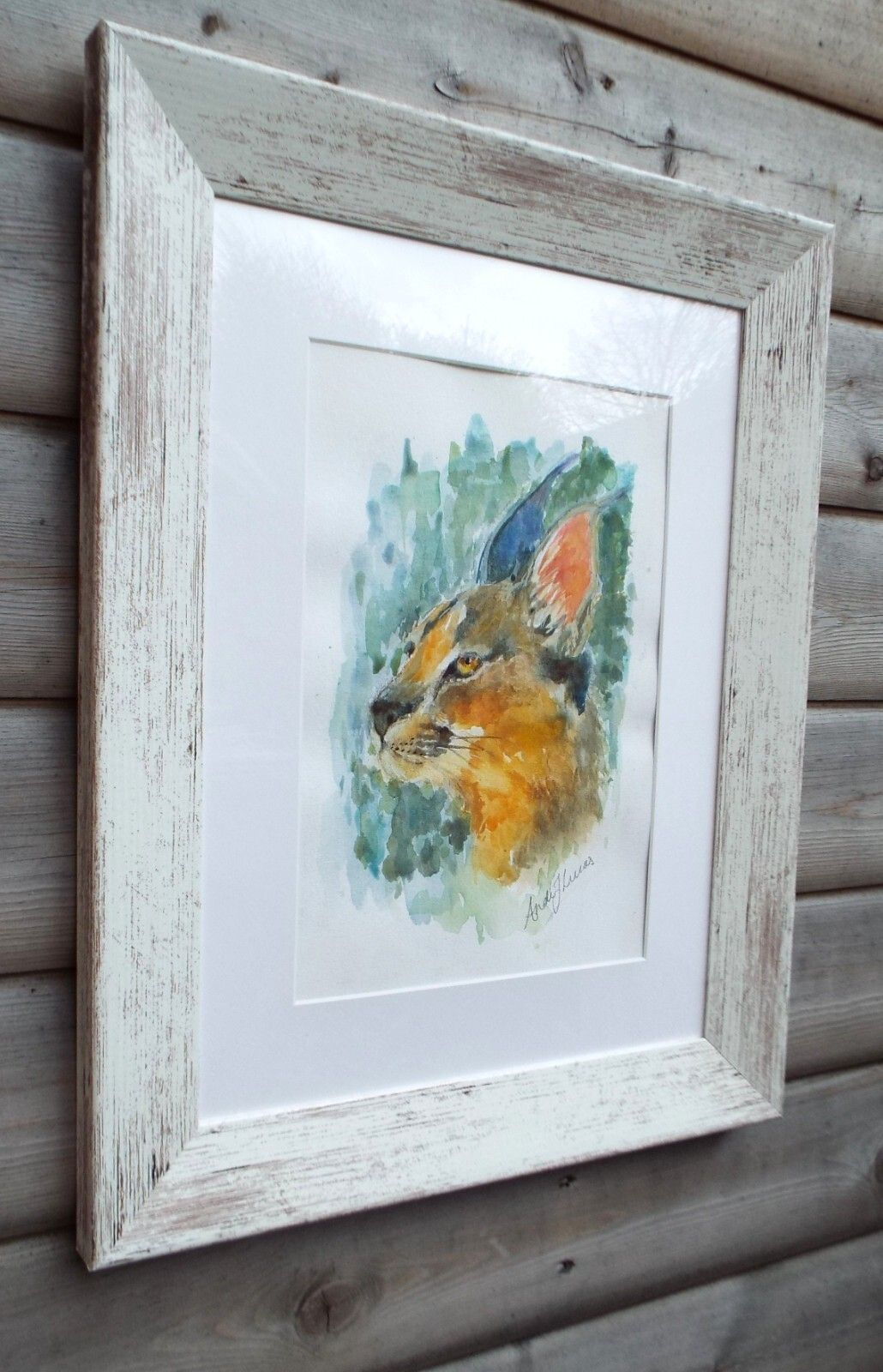 Caracal Watercolour Big Cat Painting Framed African Wildlife Original Andi photo buy