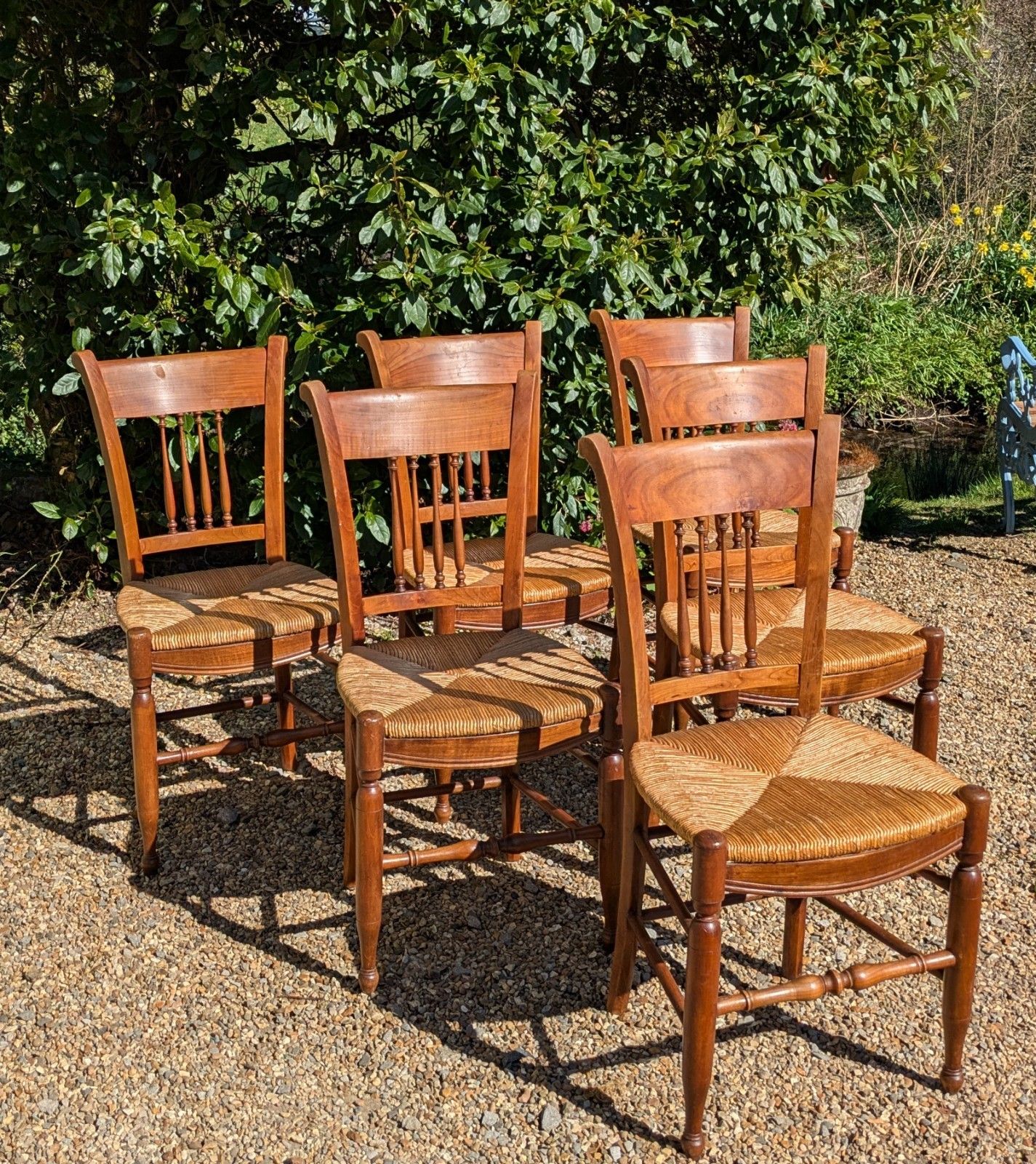 Antique French Fruitwood Dining Chairs Set 6 photo furniture