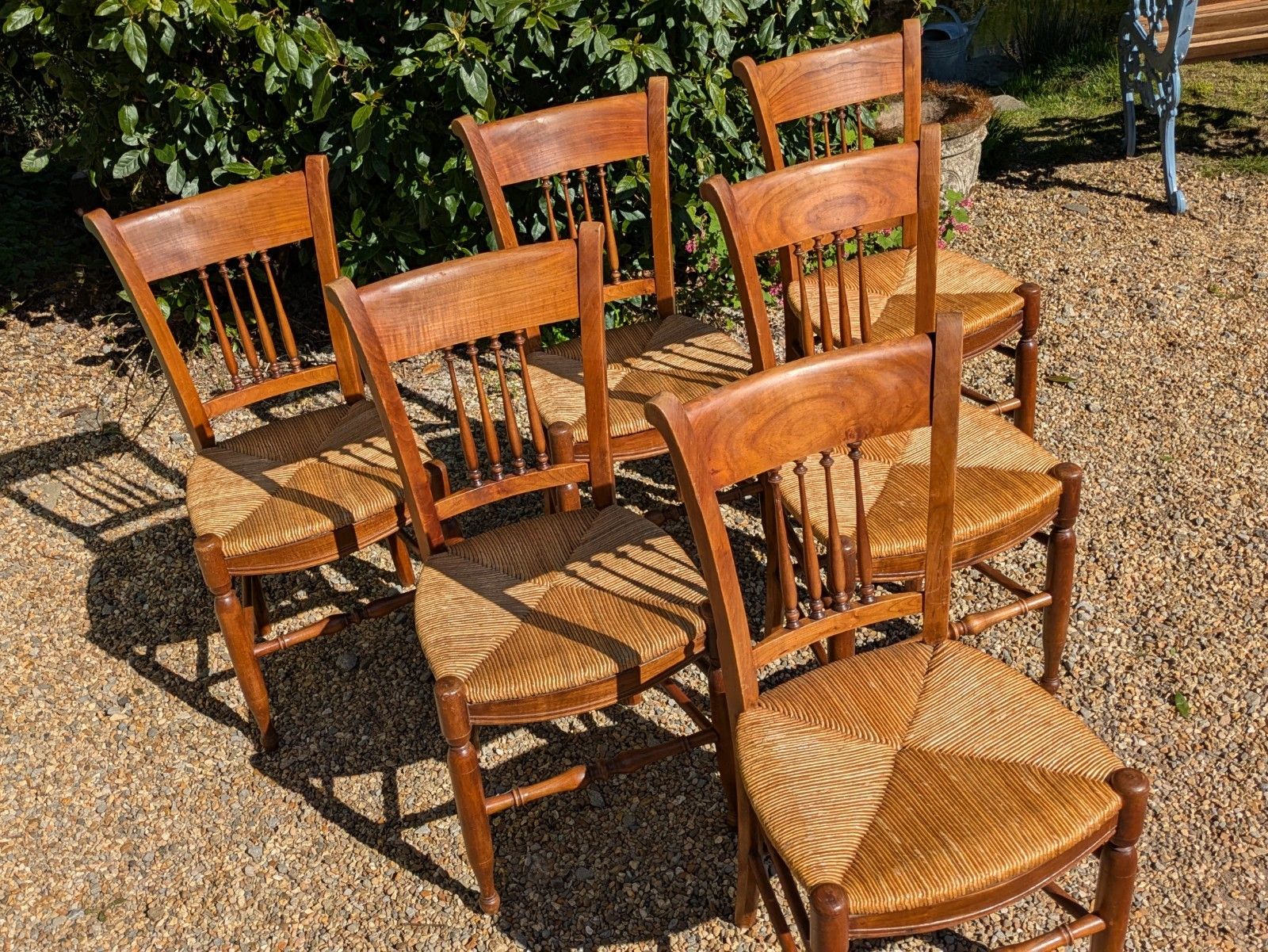 Antique French Fruitwood Dining Chairs Set 6 photo buy