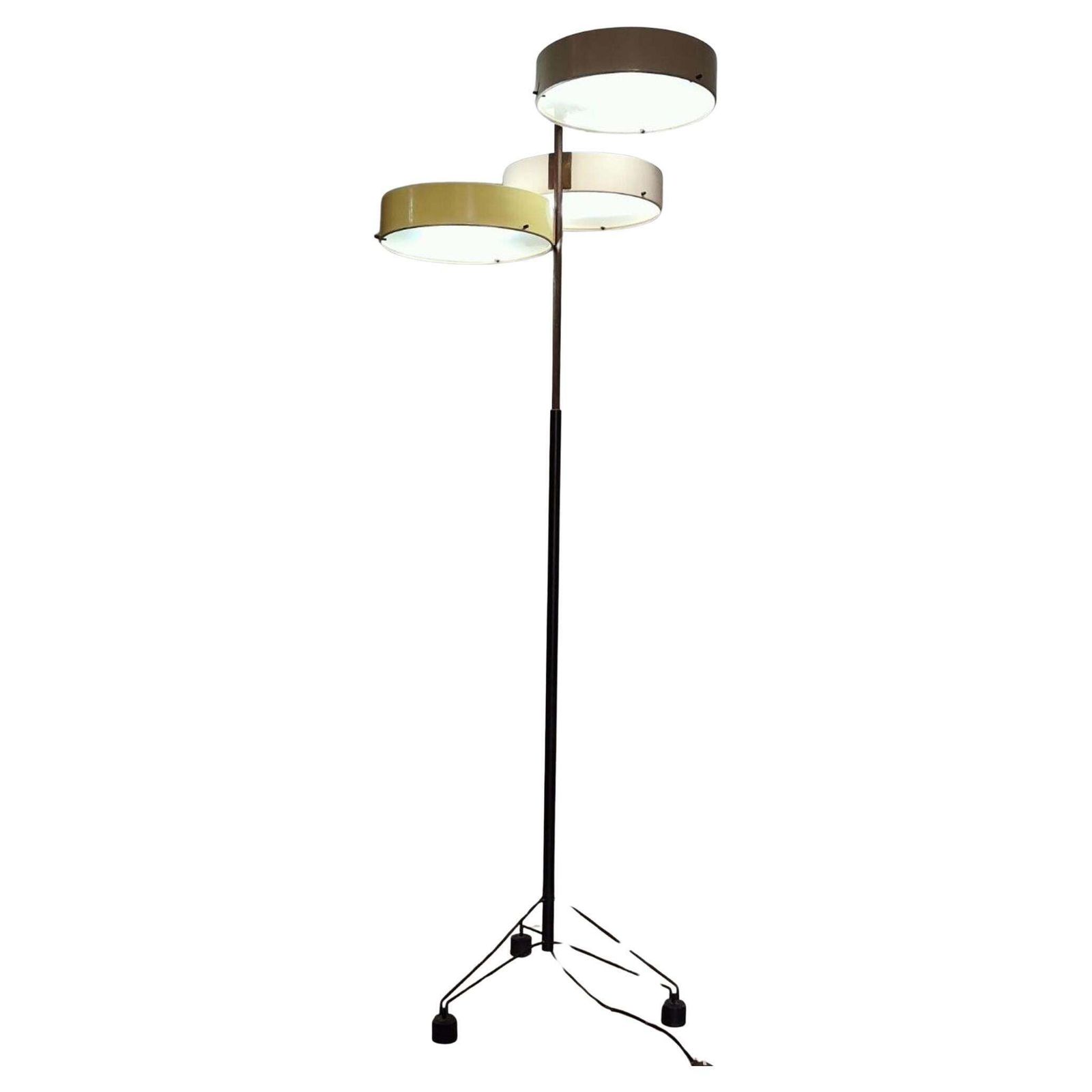 Mid Century Modern Brass Floor Lamp By Bruno Gatta For Stilnovo, Italy, 1950s