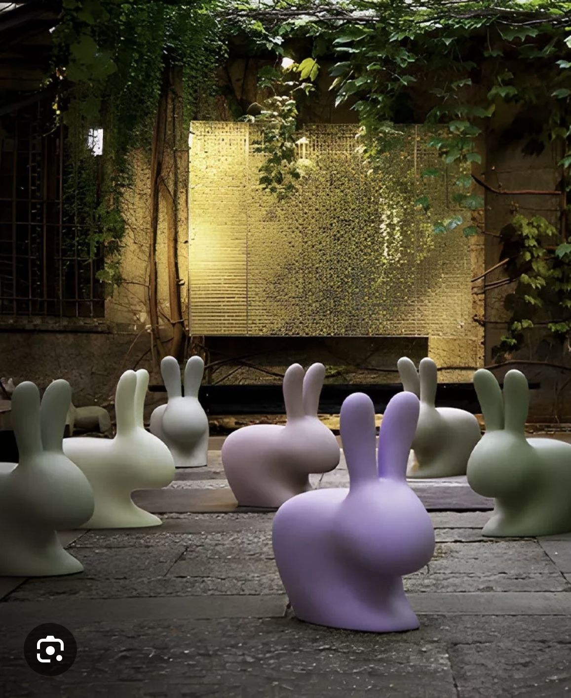 Rabbit Chairs By Stefano Giovannoni photo buy
