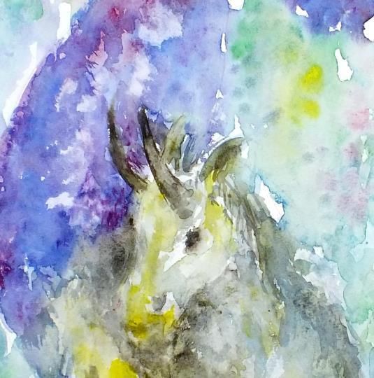 Capricorn Goat Fish Original Zodiac Watercolor Painting Star Sign Astrology Andi photo for sale