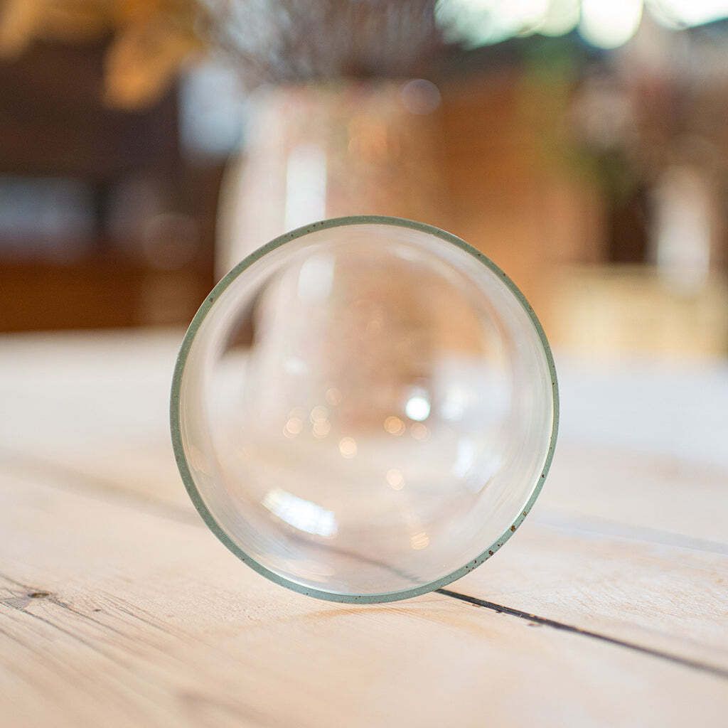 Small Antique Display Dome, English, Glass, Oak, Taxidermy, Showcase, Edwardian photo buy