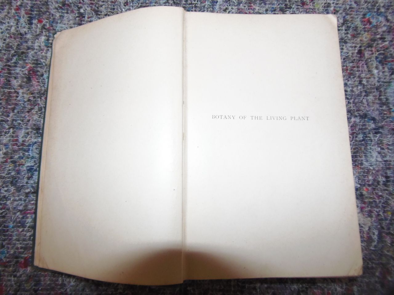 Botany Of The Living Plant Book By F.O.Bower photo buy