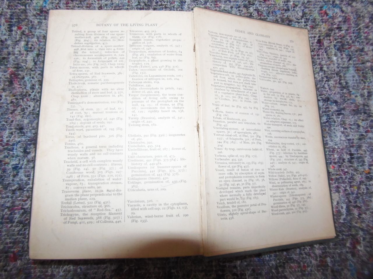 Home Decor Botany Of The Living Plant Book By F.O.Bower photo