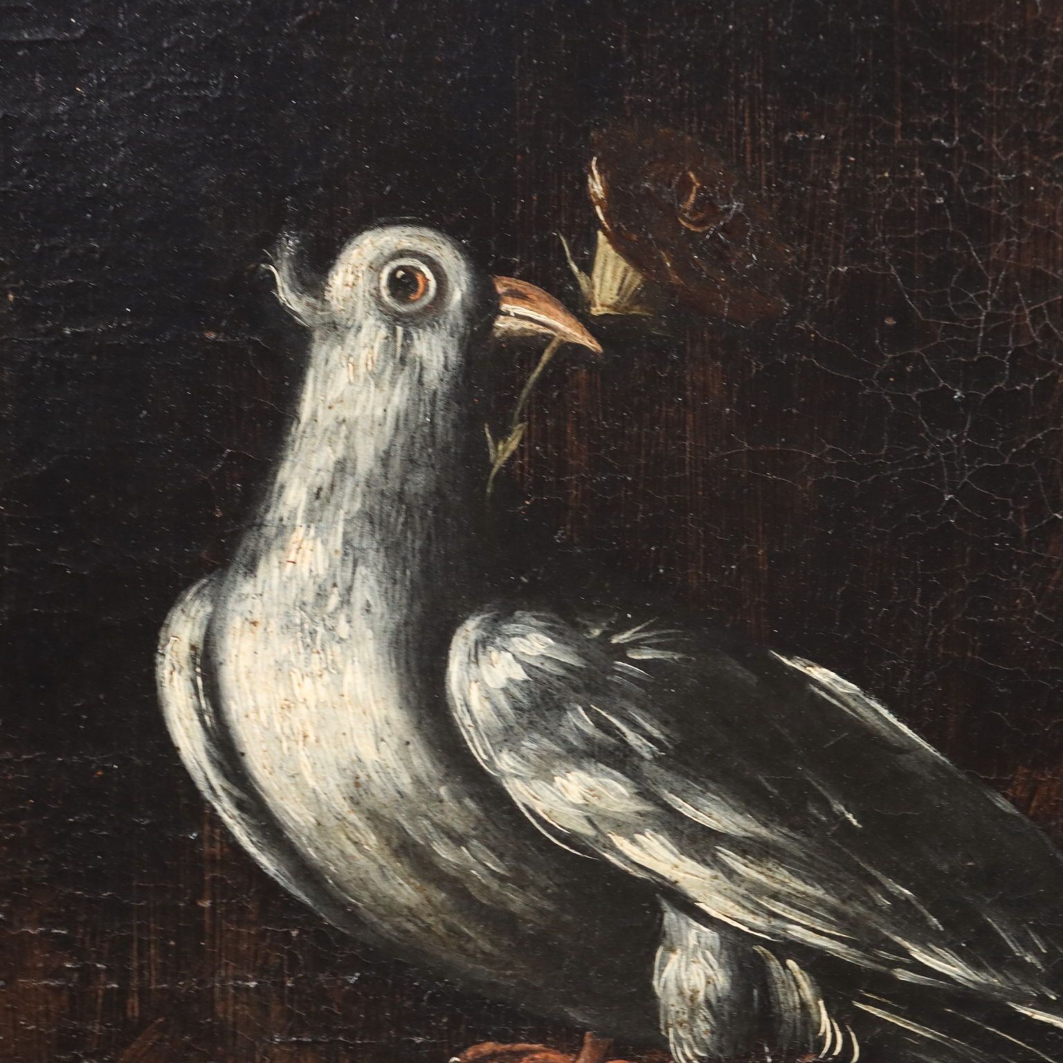 Ancient Painting Still Life With Flowers And Birds Oil On Canvas '600 photo Art