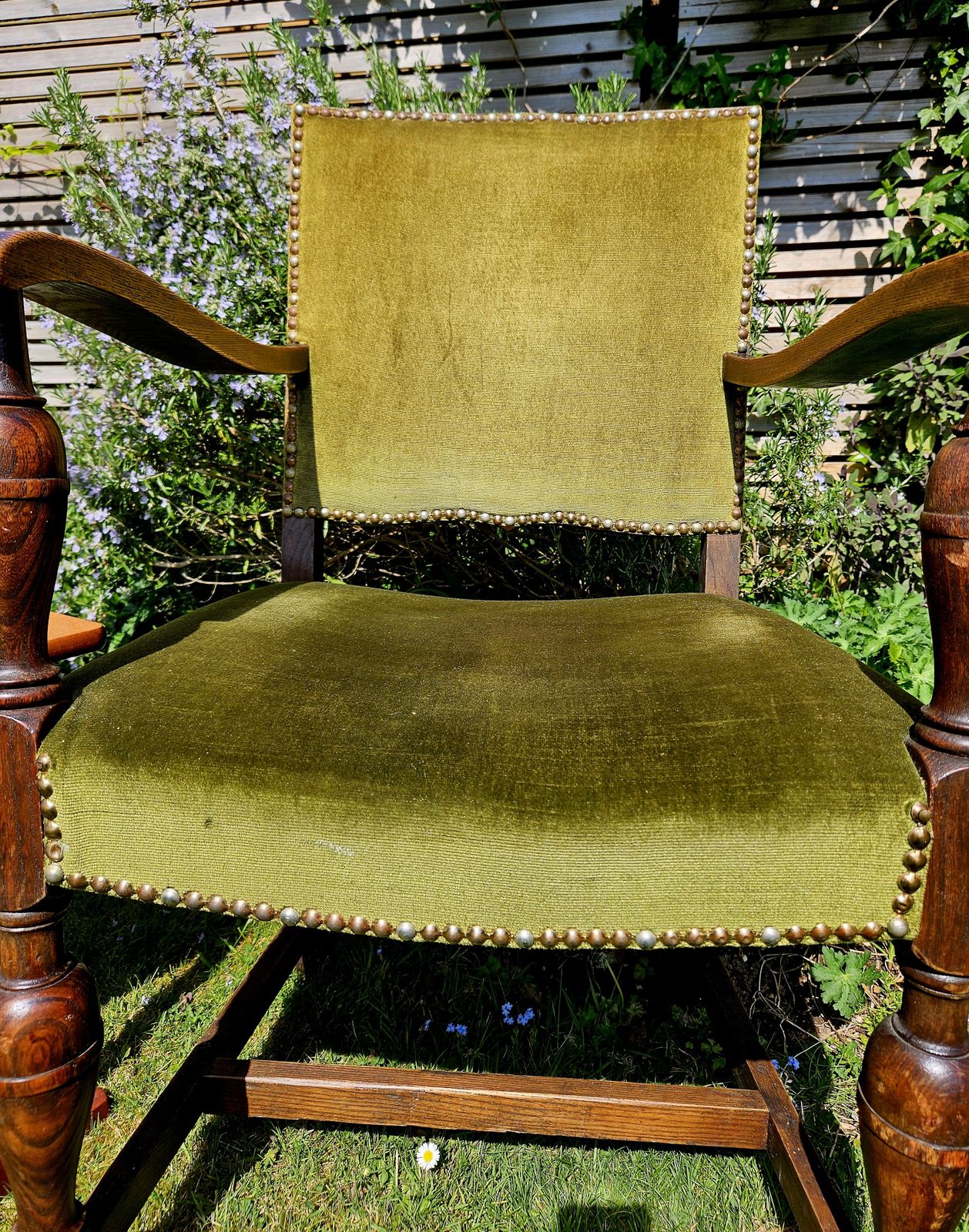 Impressive, Antique Oak Carver Chair In Studded Sage Green Velvet photo buy