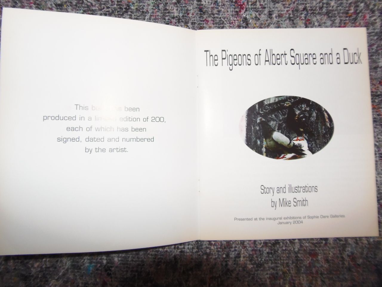 The Pigeons Of Albert Square And A Duck Book. photo furniture
