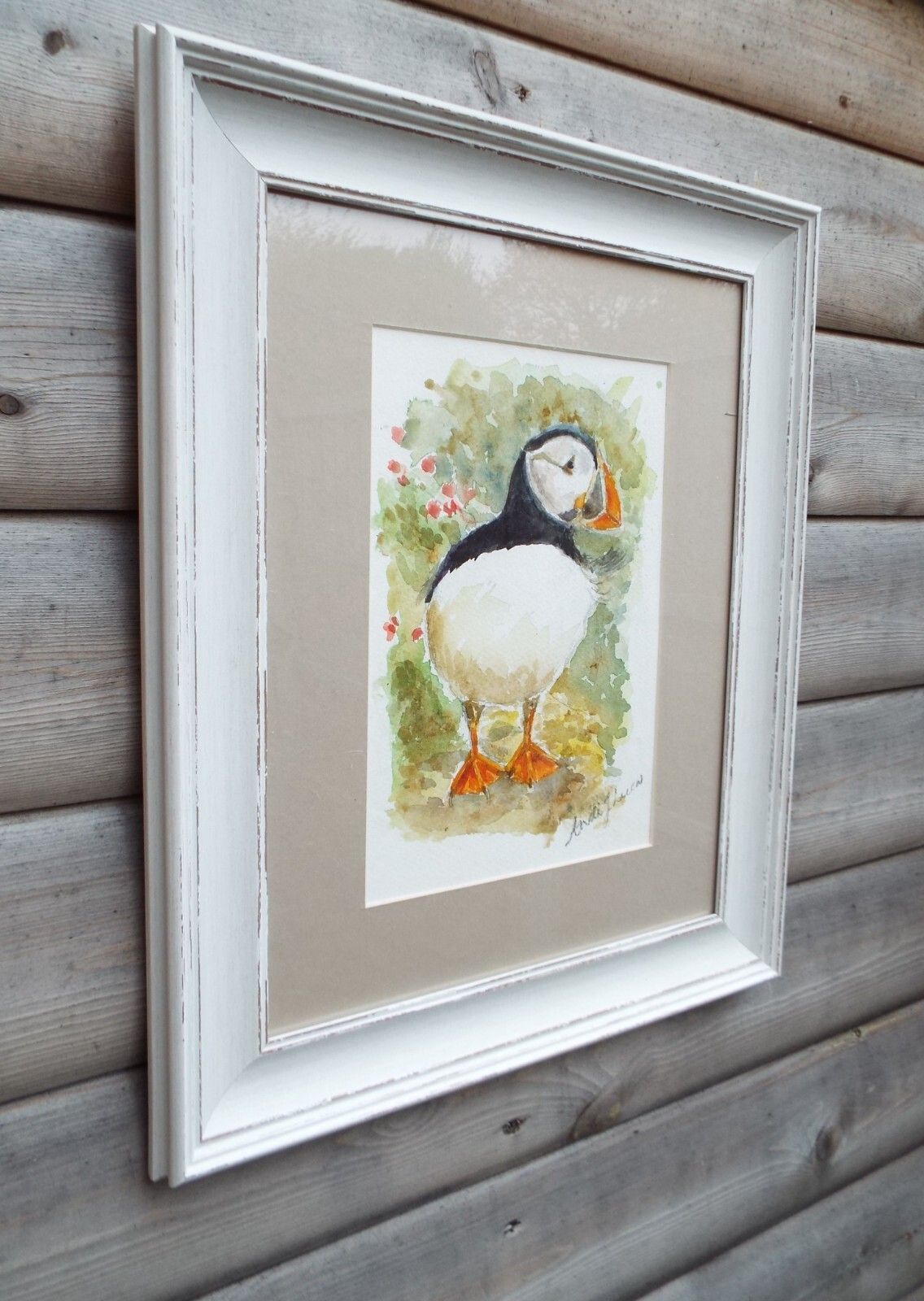 Puffin Watercolour Bird Painting Framed Wildlife Original Andi Lucas photo buy
