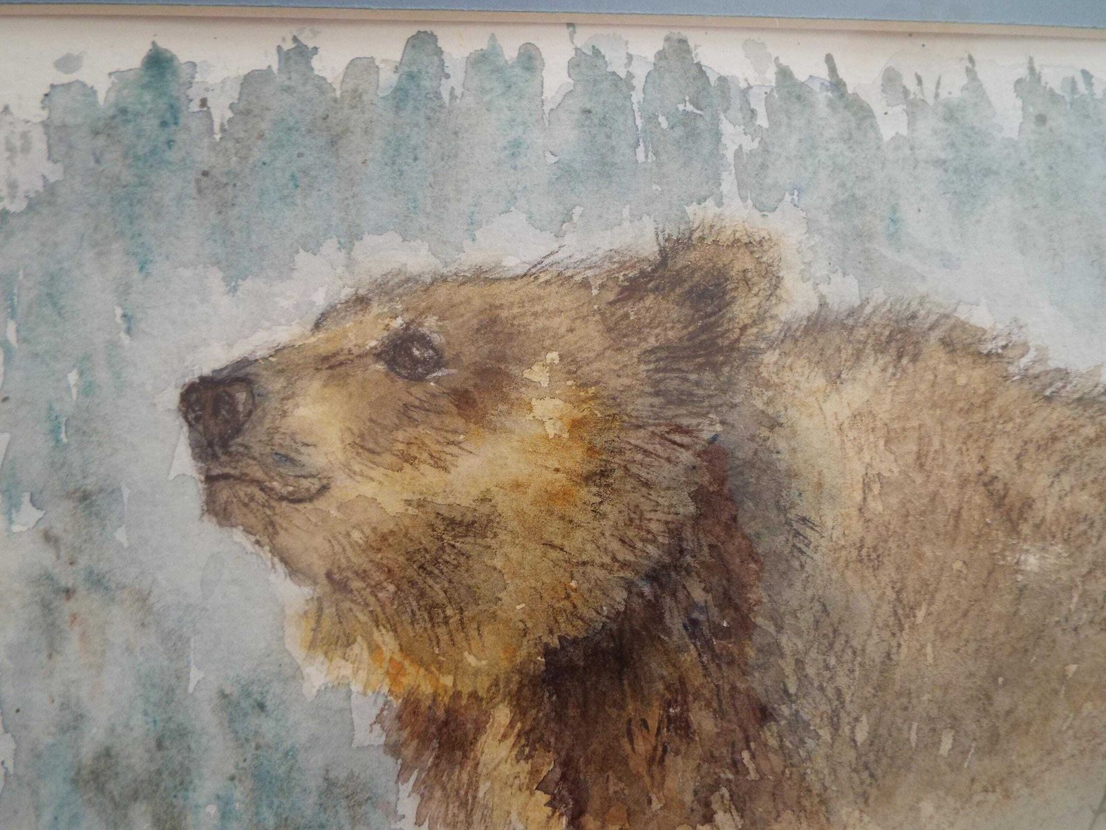 Brown Bear Watercolour Bear Painting Framed Wildlife Original Andi Lucas photo Art