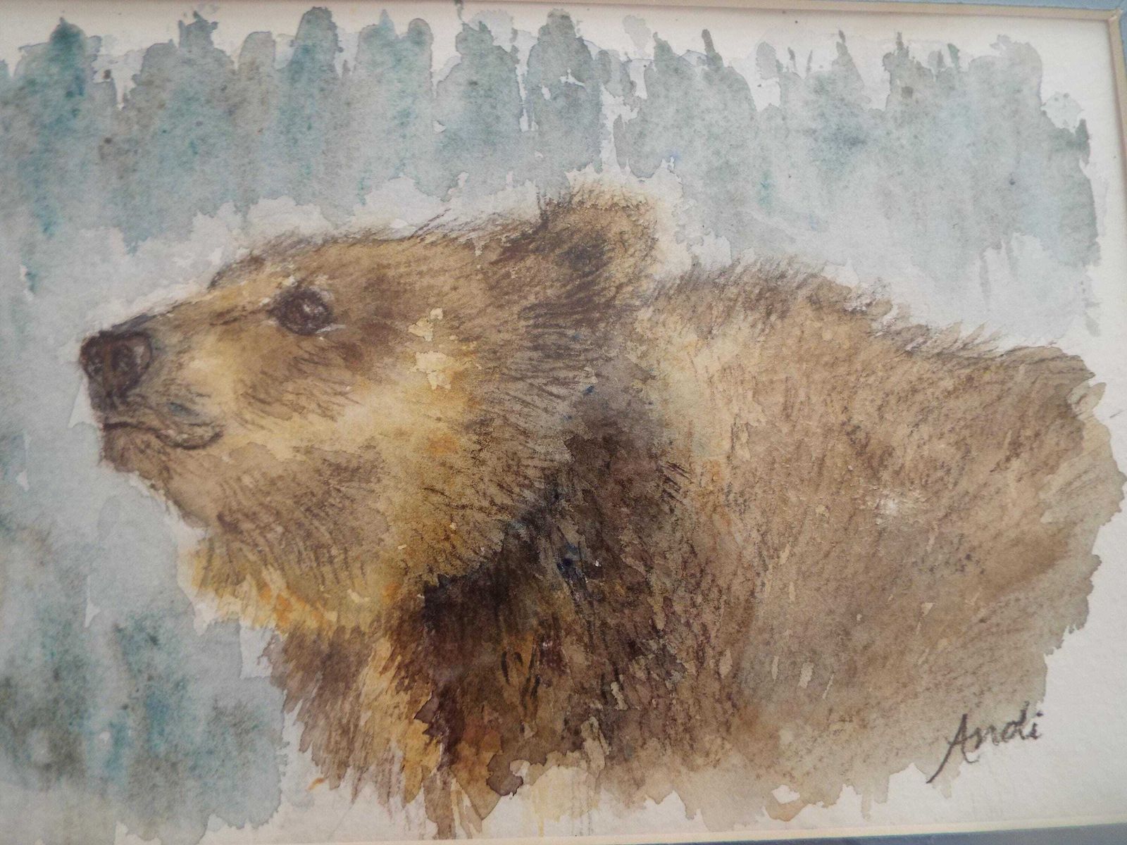 Brown Bear Watercolour Bear Painting Framed Wildlife Original Andi Lucas photo 145.0