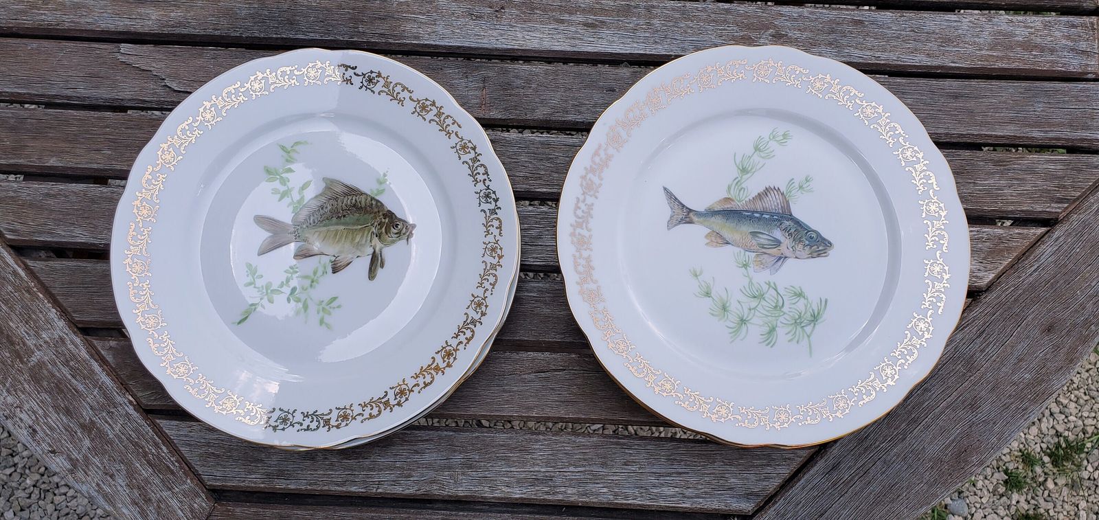 Full Set Of 12 Porcelain Fish Plates, Platter And Jug By Schumann Of Arzberg / 1960s Unused Porcelain Fish Plates / Boxed Set Of Porcelain photo for sale