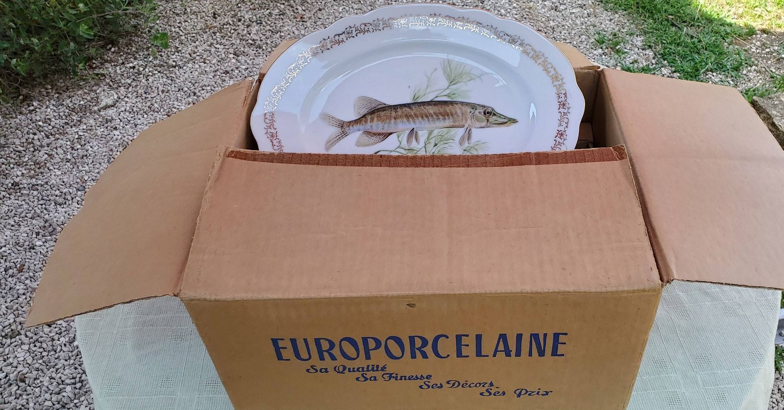photo furniture Full Set Of 12 Porcelain Fish Plates, Platter And Jug By Schumann Of Arzberg / 1960s Unused Porcelain Fish Plates / Boxed Set Of Porcelain