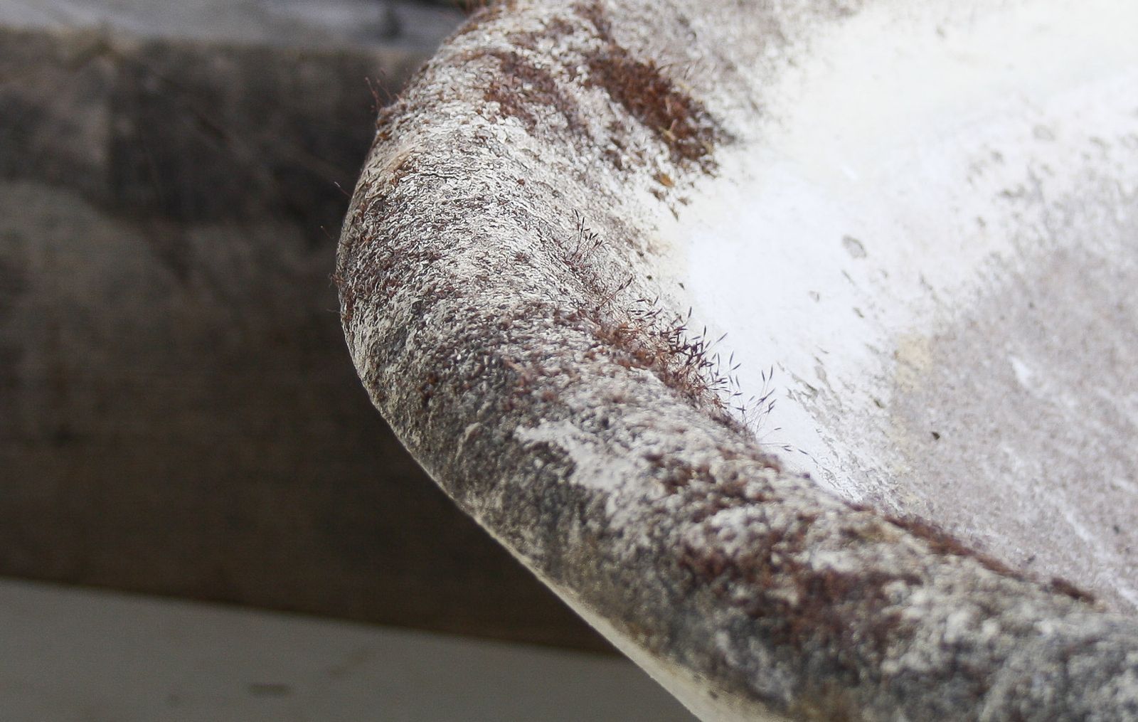 photo buy A Large 1960s Mid Century Modernist Concrete Planter In The Manner Of Willy Guhl