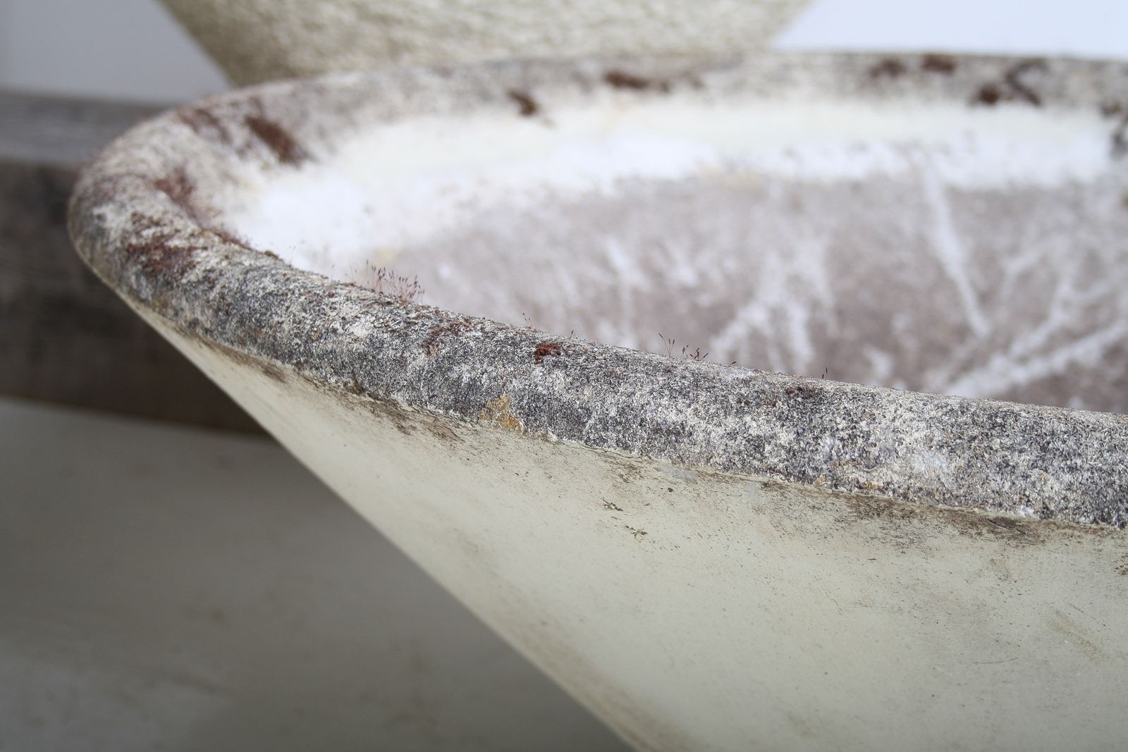photo vintage A Large 1960s Mid Century Modernist Concrete Planter In The Manner Of Willy Guhl