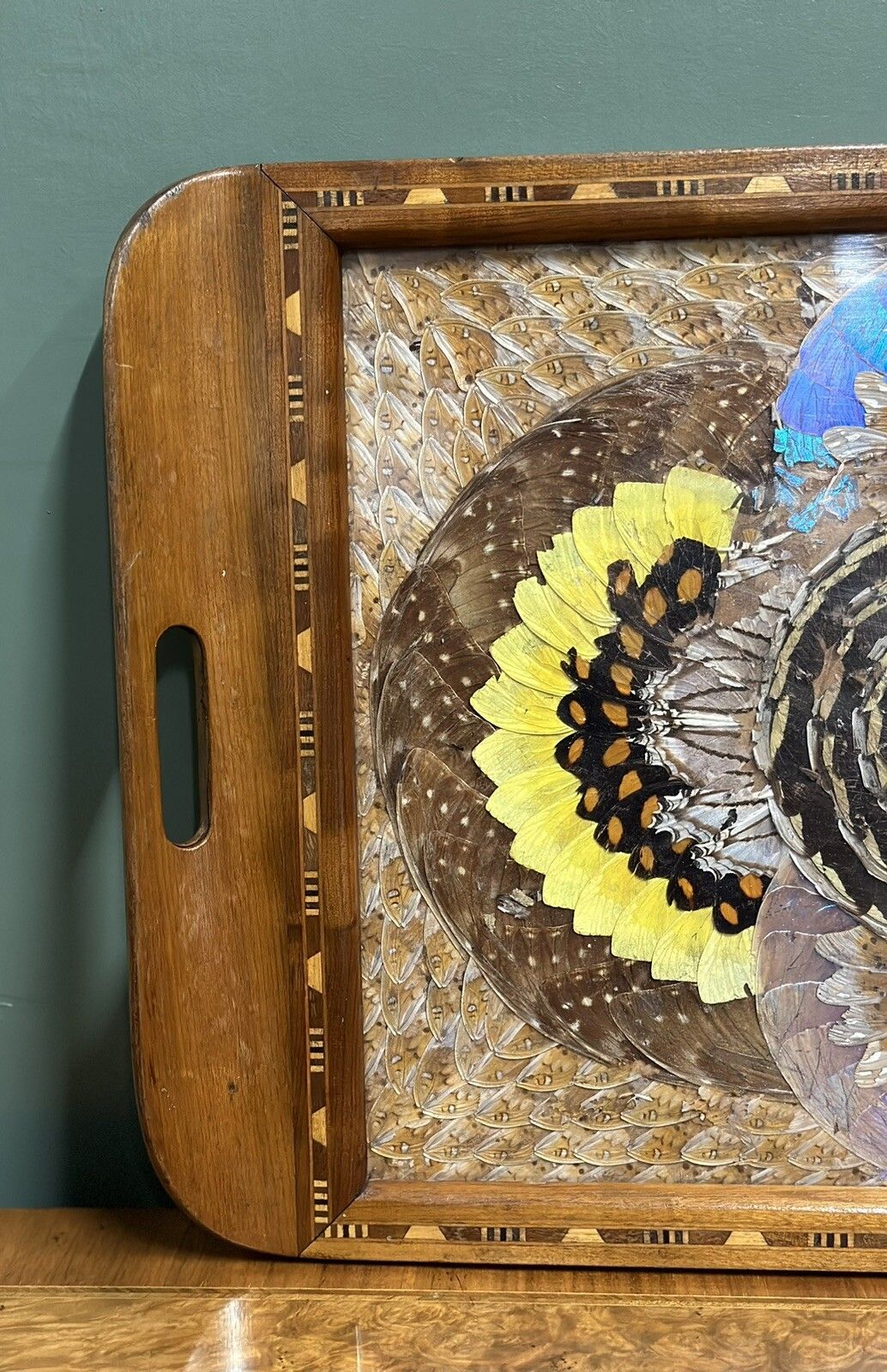 1940's Brazilian Inlaid Wood Tray With Real Morpho Butterfly Wings photo 350.0