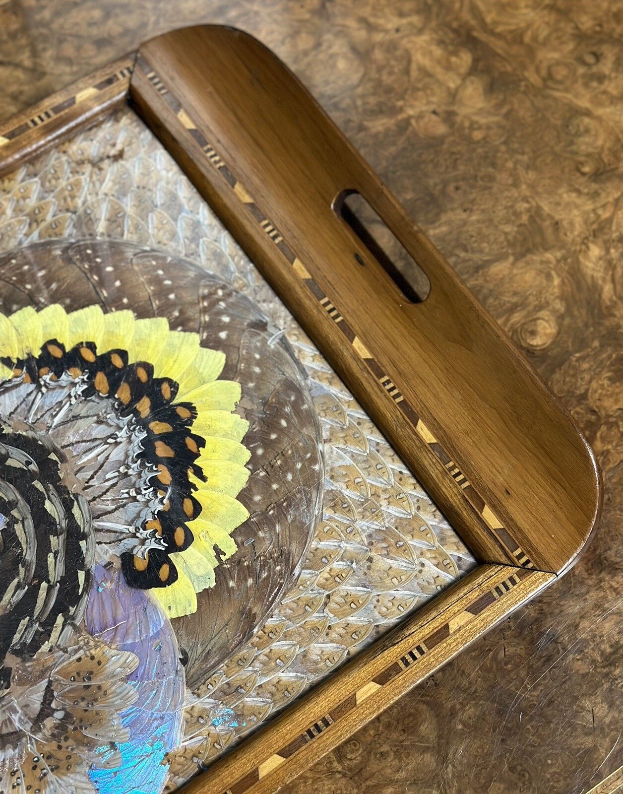 photo furniture 1940's Brazilian Inlaid Wood Tray With Real Morpho Butterfly Wings