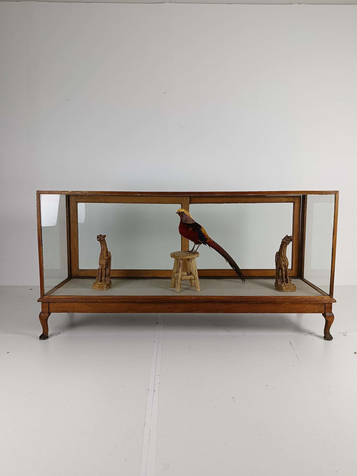 photo furniture Antique Large Glass Dispay Cabinet / Shop Counter