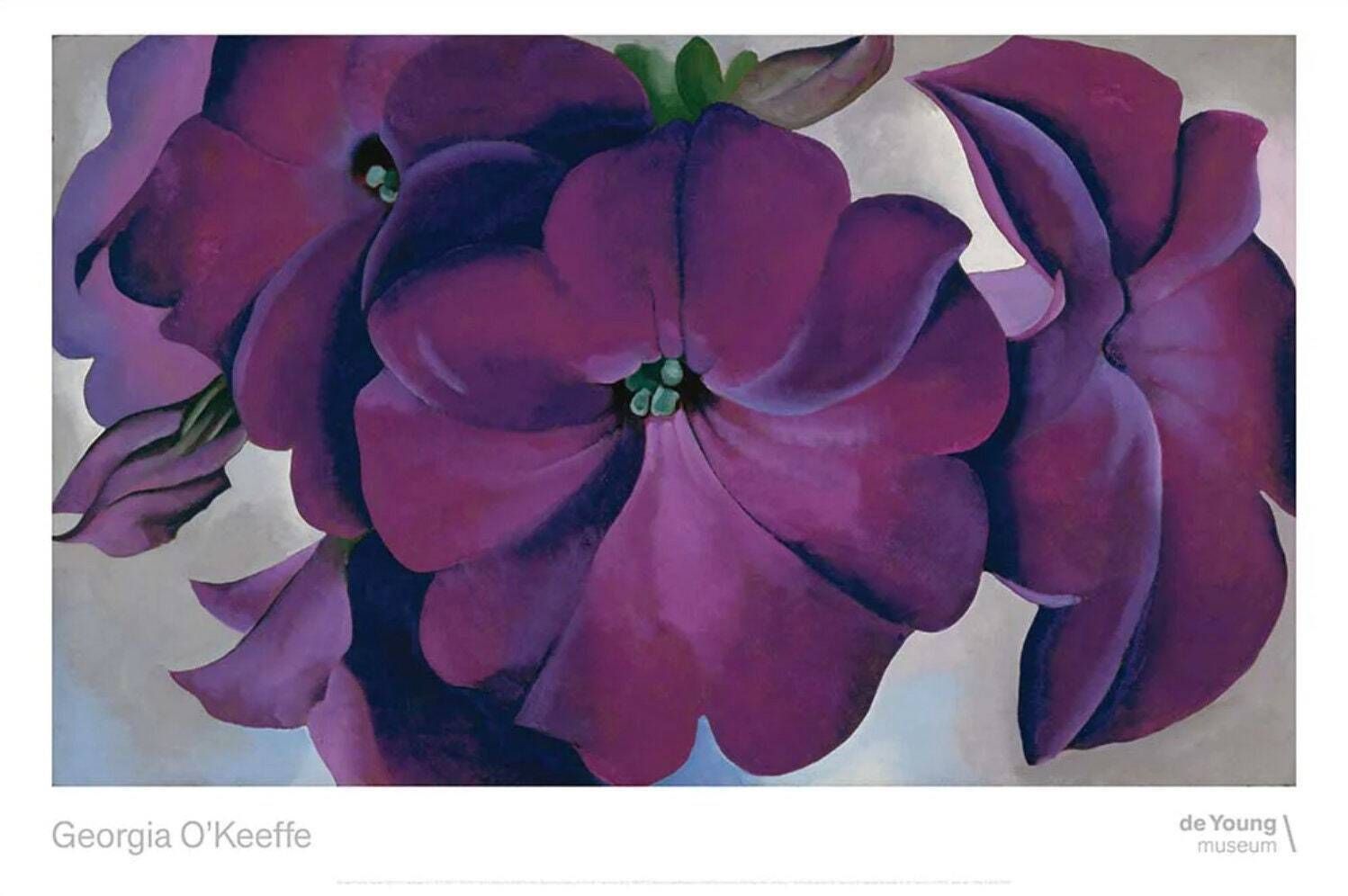 Authentic Georgia O'keeffe Exhibition Poster   Petunias   Purple Flowers Female Artist Museum Print