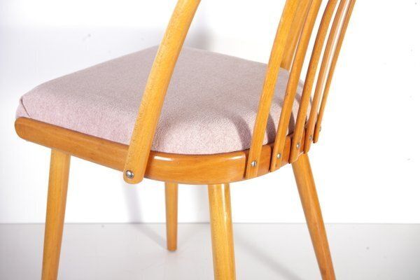 Mid Century Pink Chair By A. Suman For Cesky Nabytek, Former Czechoslovakia, 1960s photo furniture