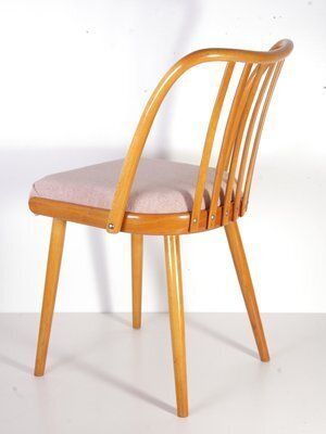photo furniture Mid Century Pink Chair By A. Suman For Cesky Nabytek, Former Czechoslovakia, 1960s
