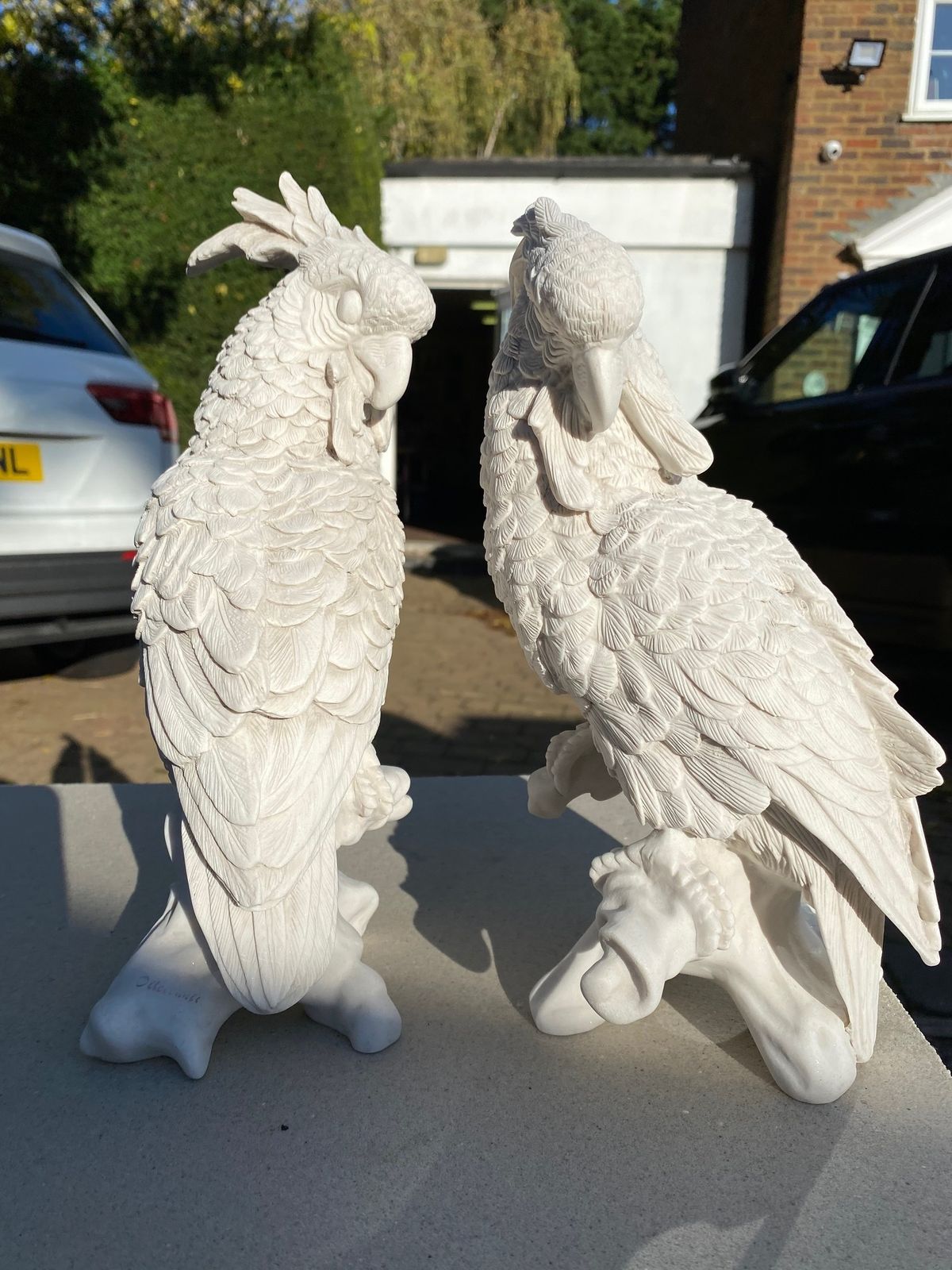 Pair Of Meissen Style Parrots   20th Century photo for sale