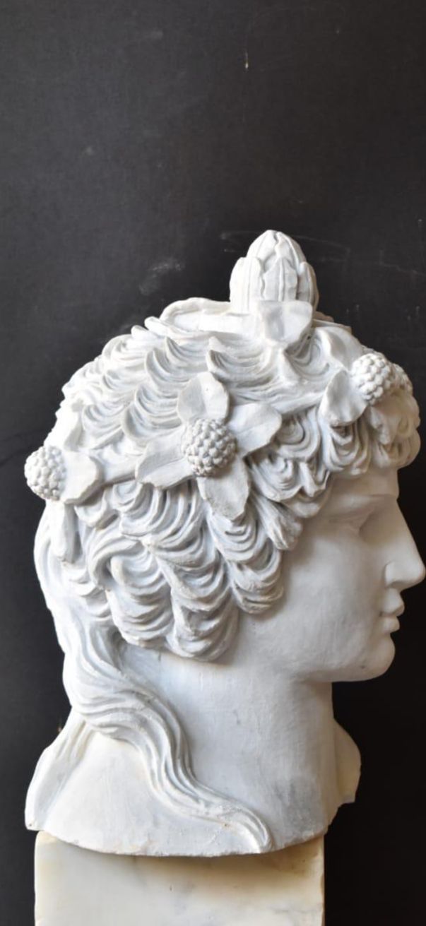 Townley Antinous Bust Sculpture – Hand Carved, 20th Century photo 3500.0
