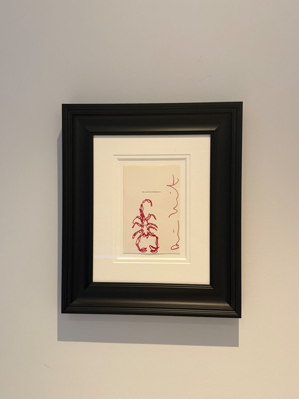 Damien Hirst , Untitled   Scorpion, 2003 photo vintage