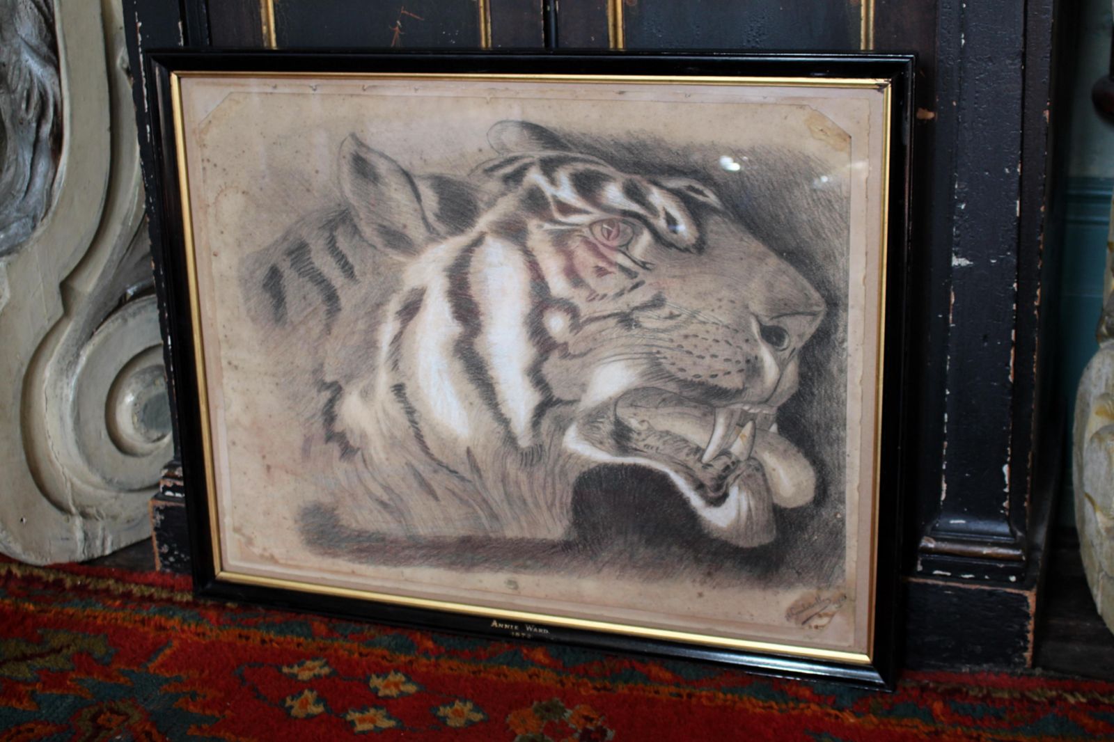 Art Large 19th Century Charcoal On Paper Bengal Tiger Dated 1831 Curio Taxidermy photo