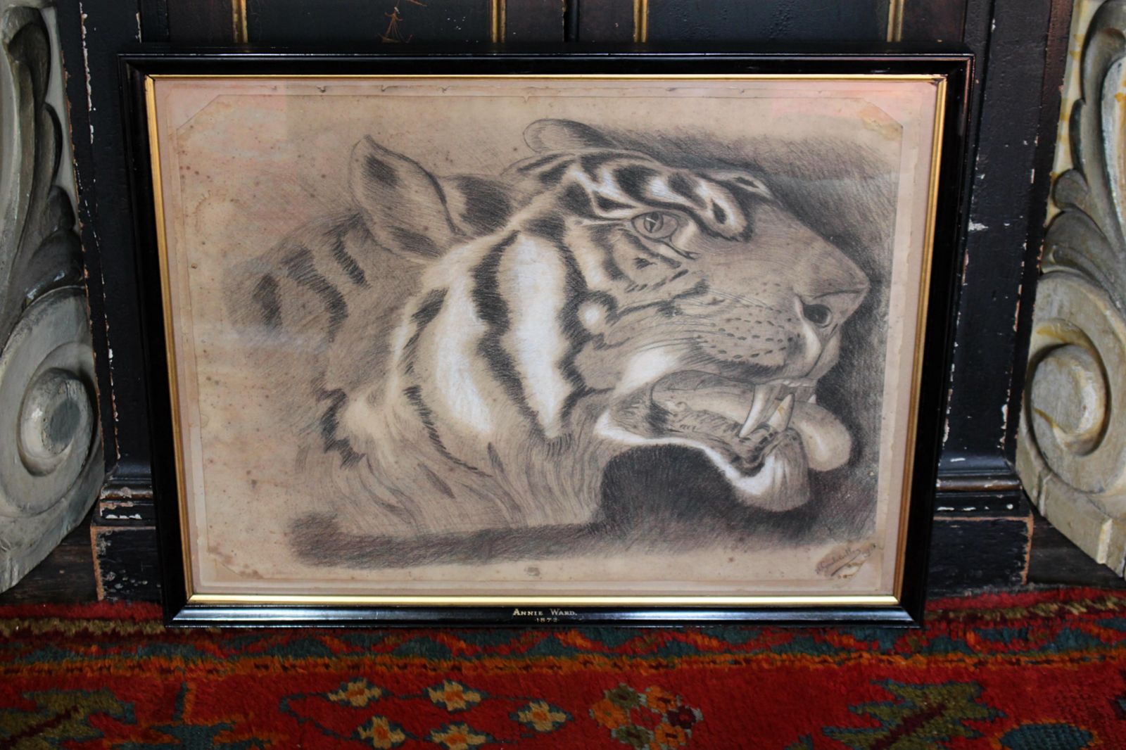1015.0 Large 19th Century Charcoal On Paper Bengal Tiger Dated 1831 Curio Taxidermy photo