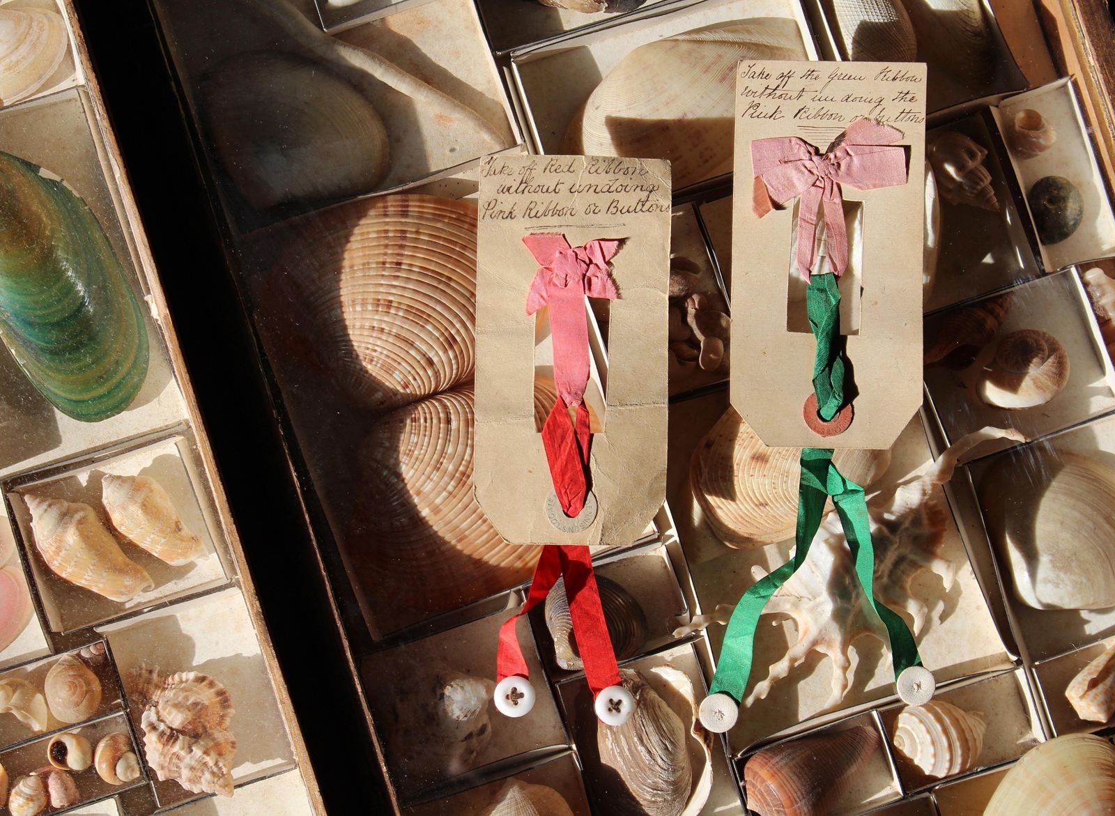 Early 20th Century Pair Of Ribbon & Button Puzzles Parlour Game photo 229.0
