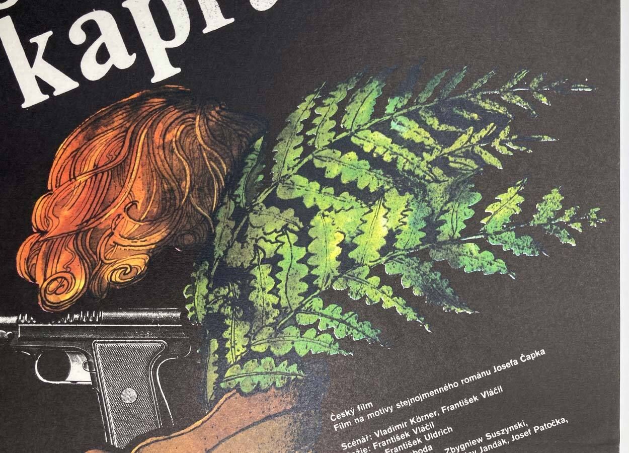 photo furniture Original Film Poster, Shadow Of The Ferns, Petr Poš, 1985, Genuine Czech Vintage Print