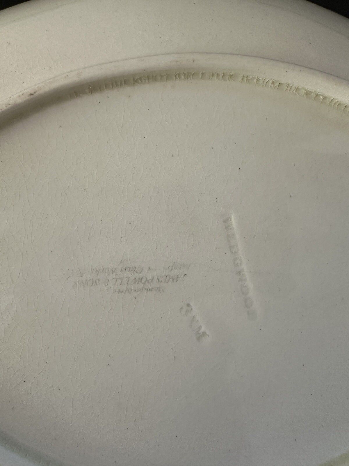 Home Decor 2x Wedgwood Oval Antique Repaired Stapled Plates Waterlily & Cream James Powell photo