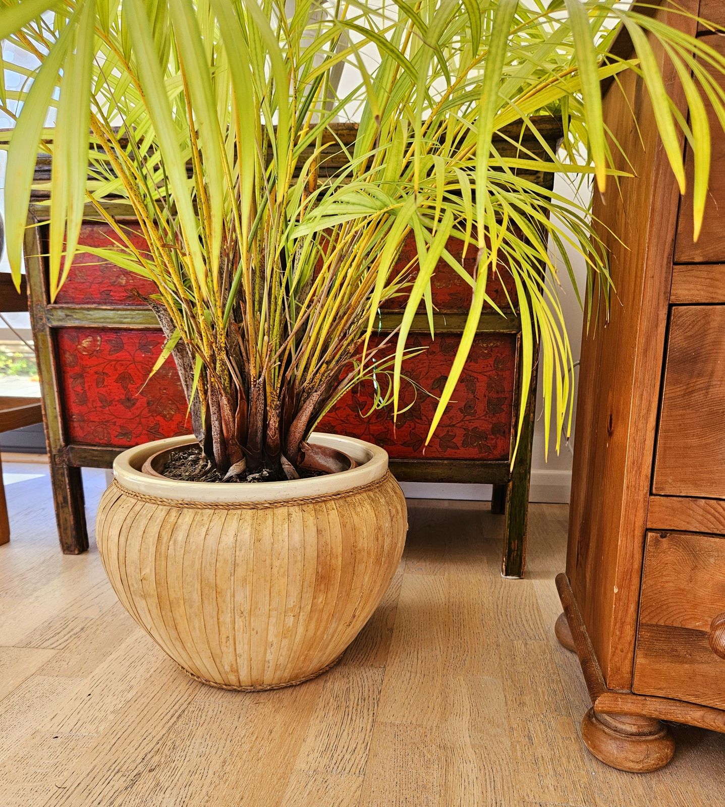 Large, Ceramic & Bamboo Indoor Planter photo Home Decor