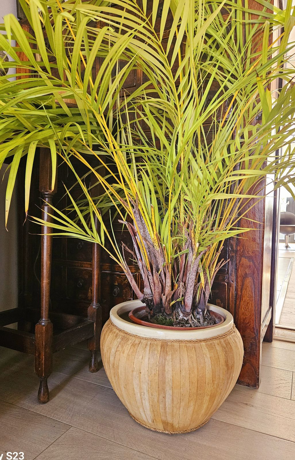 Large, Ceramic & Bamboo Indoor Planter photo 145.0