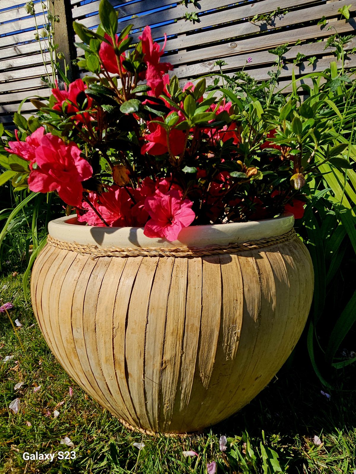 Large, Ceramic & Bamboo Indoor Planter