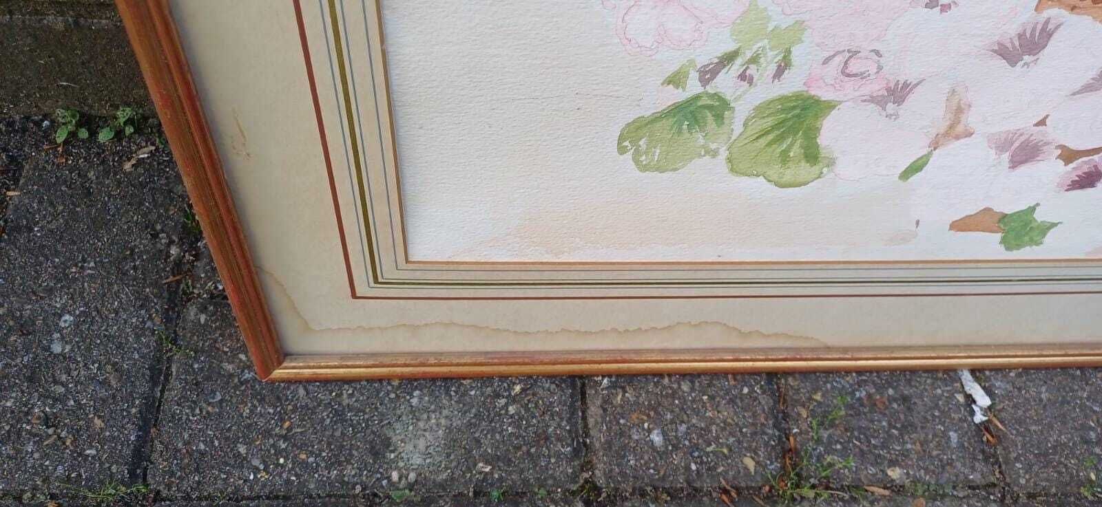 Wonderful Collection Of 3 Large Original Water Colours Of Flower Still Life, In Wooden Frames   Various Artists photo buy