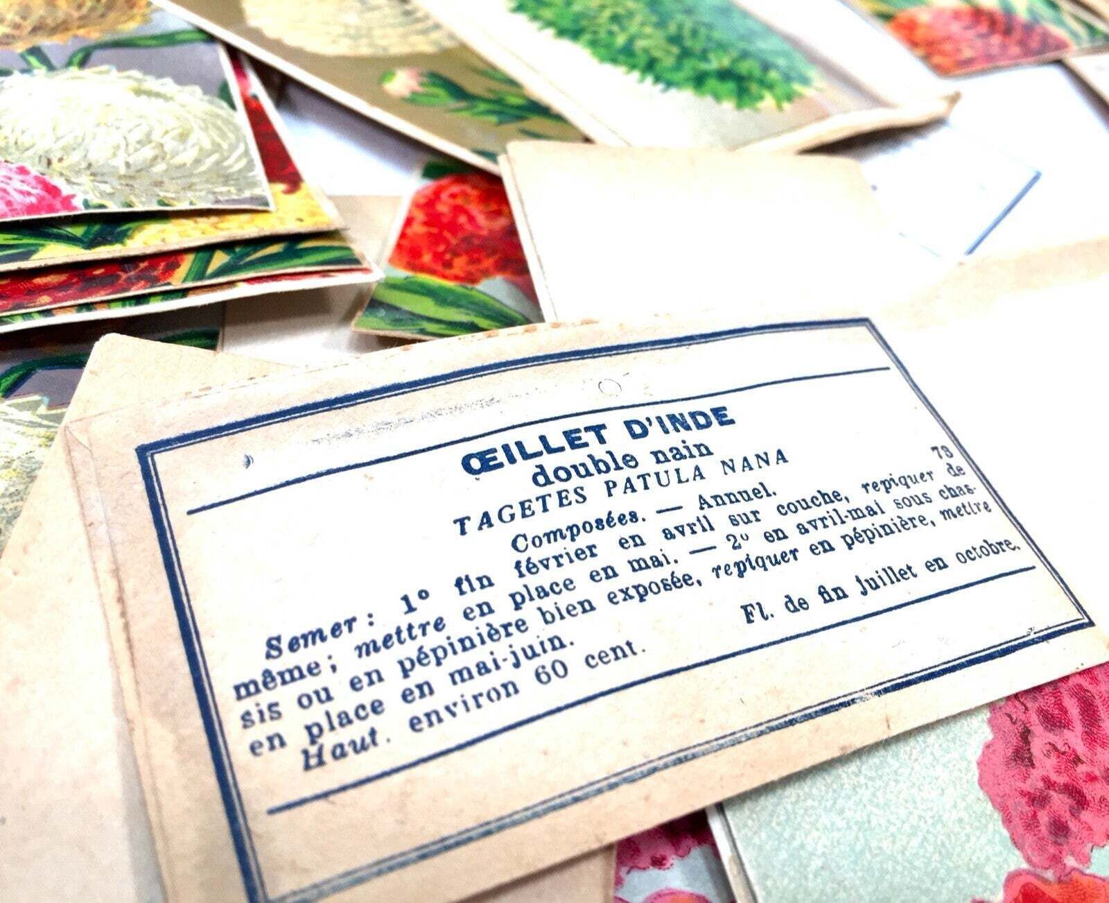 Antique Advertising Large French Shop Display Stand For Vita Garden Flower Seeds photo 995.0